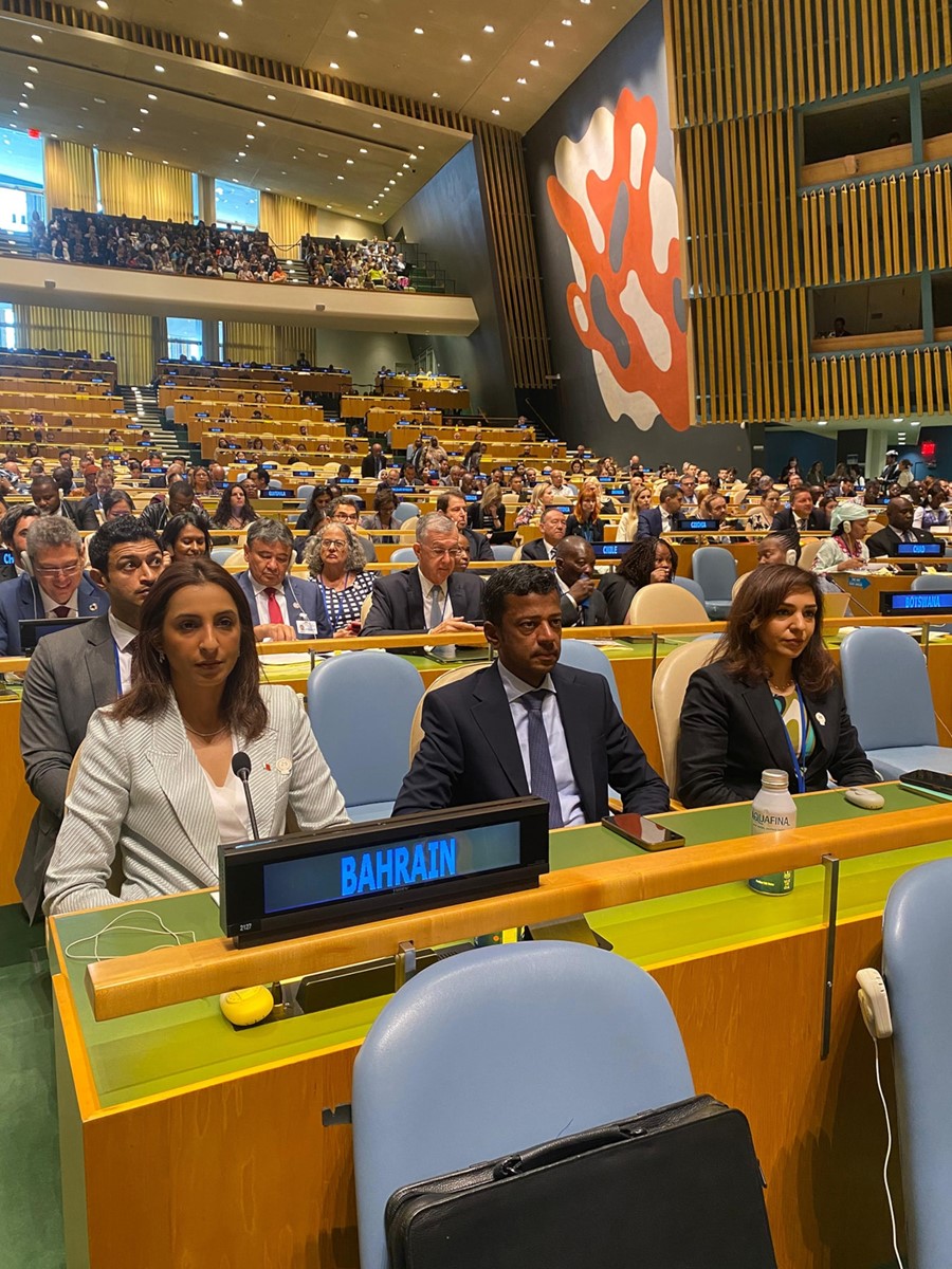 Sustainable Development Minister participates in UN High-Level Political Forum on Sustainable Development